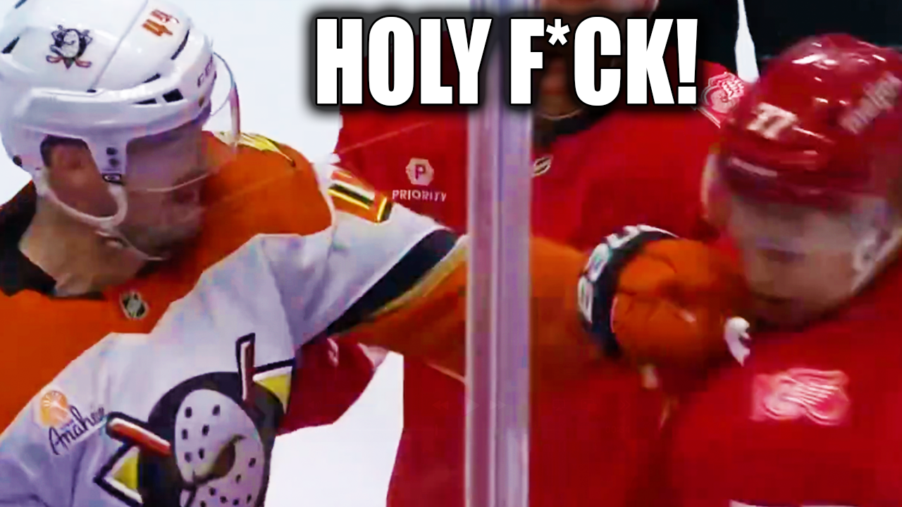 Ross Johnston Simon Edvinsson Fight Scrap & Scrum Ensues | Red Wings vs Ducks 2025 Highlights