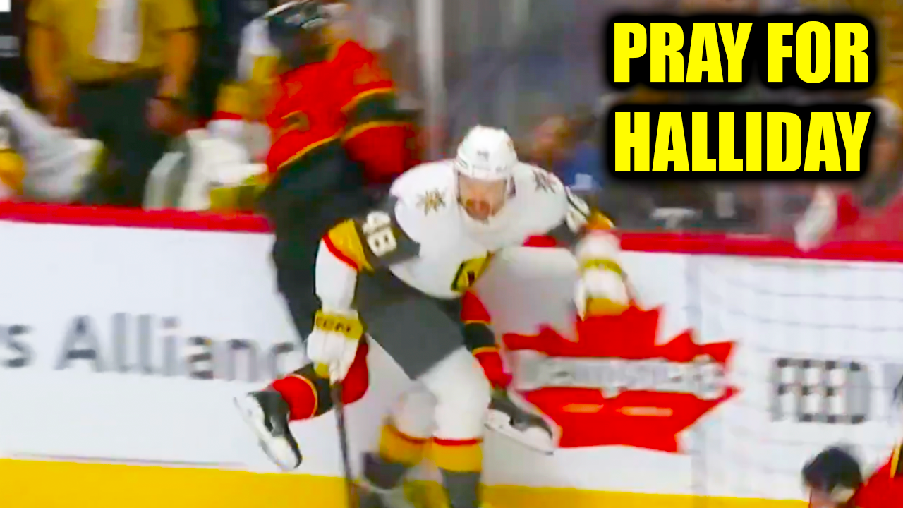 Tomas Hertl HUGE HIT on Stephen Halliday Injury (Concussion) | Senators vs Golden Knights 2026 Highlights