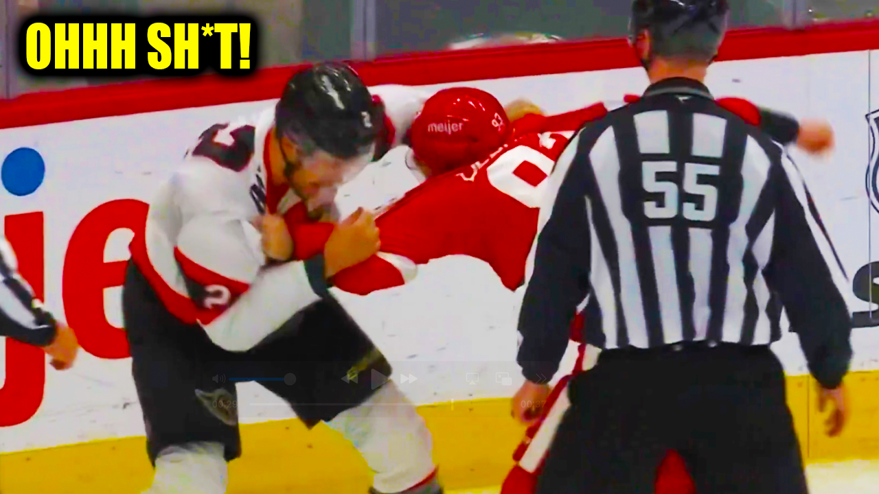 Alex Debrincat Artem Zub Fight Scrap | Ottawa Senators vs Detroit Red Wings 2026 Highlights